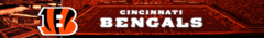 Banner da categoria Cincinnati Bengals