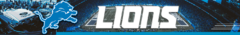 Banner da categoria Detroit Lions