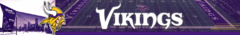 Banner da categoria Minnesota Vikings