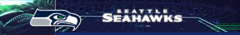 Banner da categoria Seattle Seahawks