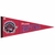 Flâmula NBA Toronto Raptors / Hardwood Classic Premium Pennant 12" X 30" - Grande