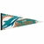 Flâmula NFL Miami Dolphins Logo Premium Pennant - Grande