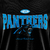 Moletom Urban 2.0 NFL Carolina Panthers Preto Sport America - comprar online