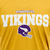 Camiseta Alternate NFL Minnesota Vikings Sport America - comprar online