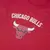 Regata Plus Size NBA Core Chicago Bulls - New Era na internet
