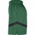 Shorts NBA Boston Celtics Masculino Nike na internet