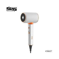 Secador de Pelo Profesional 6000W - Mandarina Store