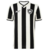 Botafogo Home 24/25