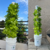 Sistema Hidropónico Vertical 20 plantas + Insumos - tienda online