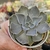 Imagem do ECHEVERIA CHADOLFI (PT 9)