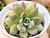 ECHEVERIA ETHEREUM (PT 9 ) 9