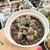 ADROMISCHUS MARIANIAE SILVER (PT 9) na internet