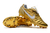 Nike Tiempo Legend 7 R10 FG na internet