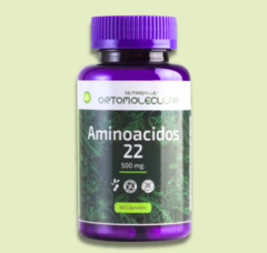 AMINOÁCIDOS 22