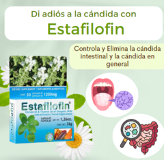 ESTAFILOFIN