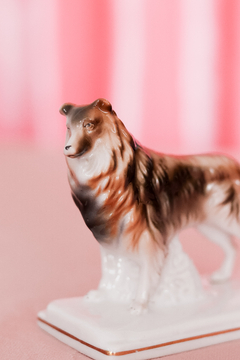 Bibelô Collie em Porcelana - Haus of Mimos 