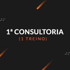 1ª Consultoria