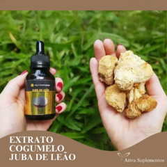 Tintura/Extrato de Cogumelo Juba de Leão (Hericium erinaceus). 60 mL - comprar online