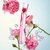 Flower by Kenzo Poppy Bouquet Kenzo EDP Feminino 30ml na internet