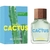 Cactus for Him Benetton EDT Masculino 100ml - comprar online