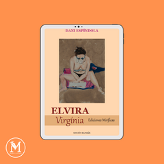 ELVIRA VIRGÍNIA. Dani Espíndola (EBOOK)