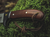 Faca Böker Magnum Elk Hunter Special - Crosster | Equipamentos originais e de alta qualidade!
