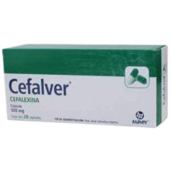 Cefalexina 500mg 20 cápsulas (Cefalver)