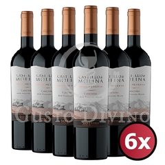 CASTILLO DE MOLINA GRAN RESERVA | CARMENERE |750cc| Caja 6 unidades