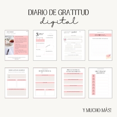 DIARIO DE GRATITUD (Archivo digital) en internet