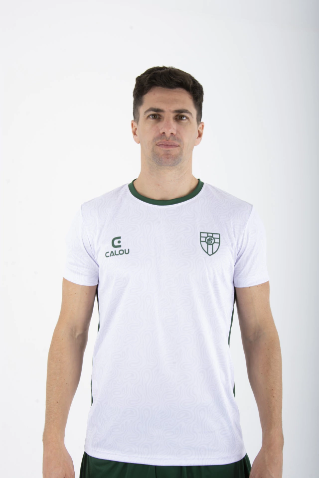 Remera estampada