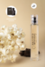 Perfume Inspiração Herod 50ml, n 21 - comprar online