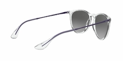 Anteojo De Sol Ray-Ban RB 4171 651611 2n Erika 54 mm - comprar online