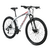 BICICLETA TOPMEGA SUNSHINE R29 MTB 21V - ACC. SHIMANO - FRENOS A DISCO - GRIS/ROJO TALLE L - comprar online