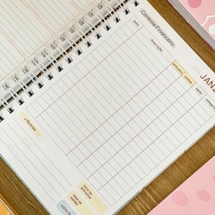 Kit Agenda + Duo Planner + Planner Diário - comprar online