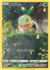 Turtwig (INGLES) [GG31/GG70]