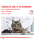 Calm Cat 2 Kg - comprar online