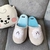 Pantufa BT21 RJ