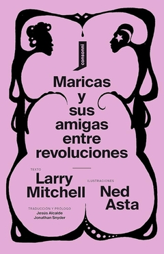 Maricas y sus amigas entre revoluciones