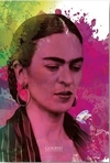 FRIDA KAHLO TINTAS LIBRO DIARIO