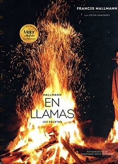 MALLMANN EN LLAMAS - TAPA BLANDA