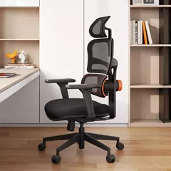 Cadeira Ergonômica Pro na internet