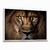 Quadro Decorativo Leão Face na internet