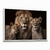 Quadro Decorativo Leão Família na internet