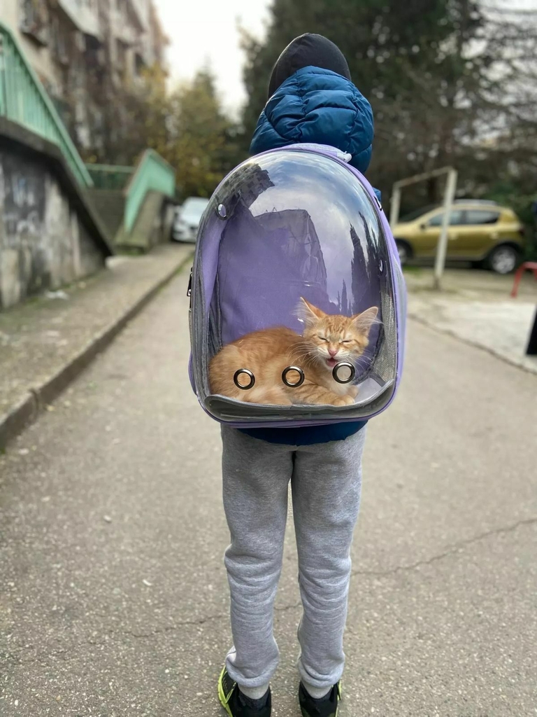 Maleta transportadora Astropet para conejos gatos y perros