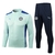 kit treino-palmeiras-i-home-23-24-torcedor-conjunto-masculino-
puma-verde e azul-verdao-porco-america do sul-brasil-brasileirao-serie a-copa do brasil-libertadores