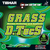 Borracha Tibhar GRASS D. Tecs Ox Verde para Tenis de Mesa