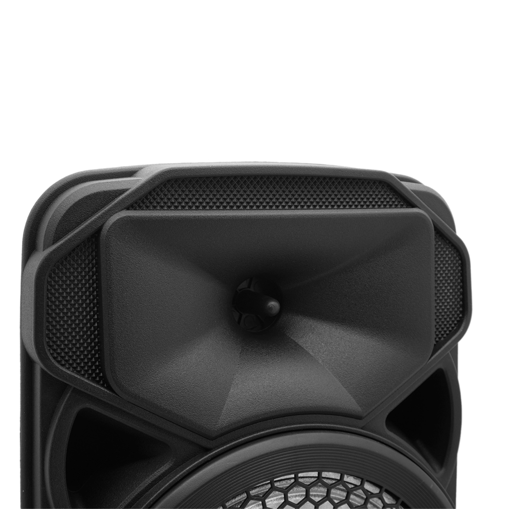 Parlante Bluetooth 8 Pulgadas T-GO PALERMO Portátil con Radio FM y  Micrófono
