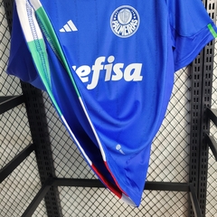 Camisa Palmeiras Azul Edição Especial 23/24 Modelo Torcedor na internet