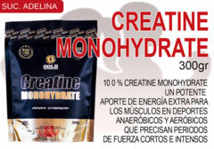 CREATINE MONOHYDRATE (300gr) GOLD NUTRITION