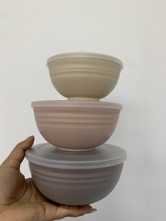 Kit 3 bowls com tampa